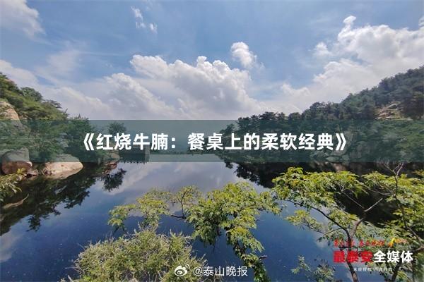 《红烧牛腩：餐桌上的柔软经典》